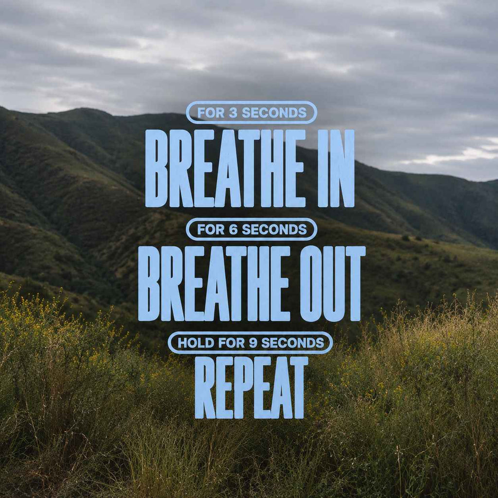 Return Within Tee