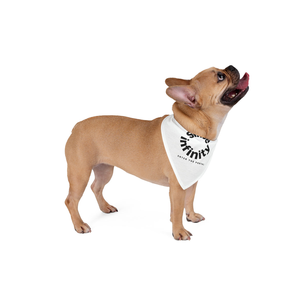 Pet Bandana — "Since Infinity: Enter the Portal" Graphic Dog & Cat Bandana